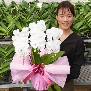 Amazon.co.jp ほしい物ランキング: 花の苗 で、ほしい物リストと